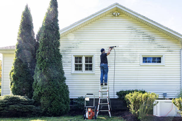 Best Exterior Home Cleaning  in Flemington, NJ